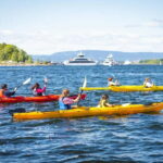 Oslo Sea Kayak Tour Fjord City - Who Should Consider This Tour?