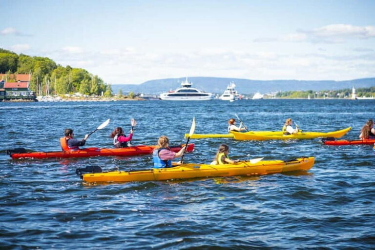 Oslo Sea Kayak Tour Fjord City - Who Should Consider This Tour?