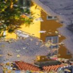 Østerbro: Evening Treats & Insights Walking Tour - Price and Value