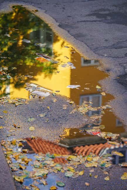 Østerbro: Evening Treats & Insights Walking Tour - Price and Value