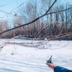 Ottawa: Guided Nature Walk & Wildlife Tour with Hotel Pickup - Why This Tour Is a Great Choice