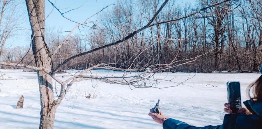 Ottawa: Guided Nature Walk & Wildlife Tour with Hotel Pickup - Why This Tour Is a Great Choice