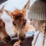 Ottawa: Private Wildlife Adventure Safari in Parc Omega - The Value of the Experience