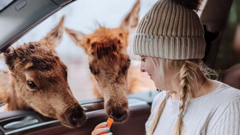 Ottawa: Private Wildlife Adventure Safari in Parc Omega - The Value of the Experience