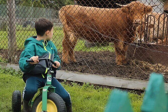 Ottawa Valleyview Little Animal Farm Tour - Why This Tour Works Well