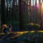 Oulu: Guided Fatbike Tour From Nallikari Around Hietasaari - Who Will Love This Tour?