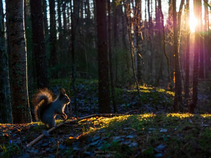 Oulu: Guided Fatbike Tour From Nallikari Around Hietasaari - Who Will Love This Tour?