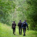 Oulu: Hietasaari Wildlife Hike with Nature Guide - The Itinerary: What to Expect