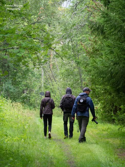 Oulu: Hietasaari Wildlife Hike with Nature Guide - The Itinerary: What to Expect