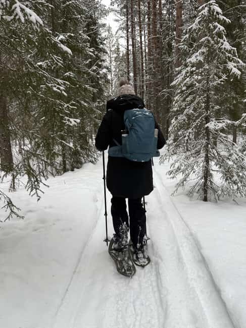 Överkalix - Lapland : Full-Day Snowshoe Tour with Lunch - Why This Tour Is Worth It