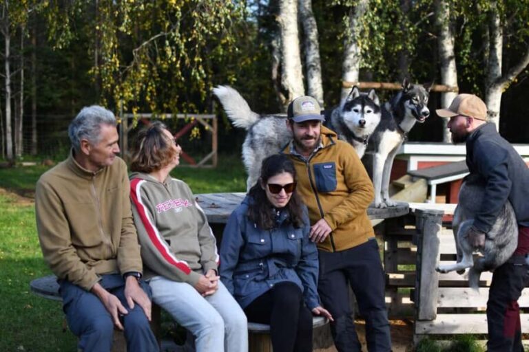 Överkalix - Lapland : Husky Cuddle and Fika Experience - Why This Experience Stands Out