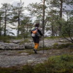 Överkalix - Lapland : Private Summer Hike with Lunch - Who Should Consider This Tour?