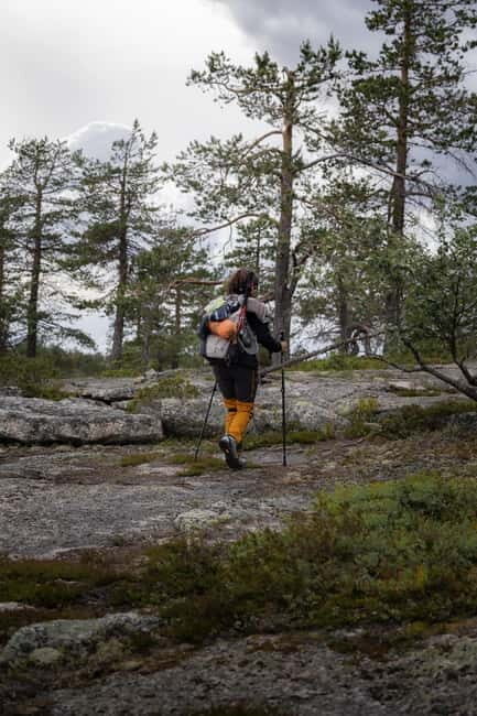 Överkalix - Lapland : Private Summer Hike with Lunch - Who Should Consider This Tour?