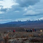 Overnight Denali National Park plus Aurora Chase Tour - Who Will Love This Tour?