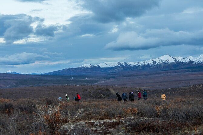 Overnight Denali National Park plus Aurora Chase Tour - Who Will Love This Tour?