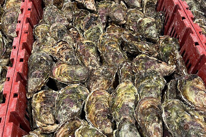 Oyster Farm, Ston and Winery Tour - FAQs