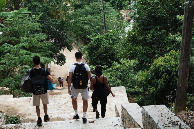 Paddle Board Adventure in a Tropical Paradise - A Deep Dive into the Experience