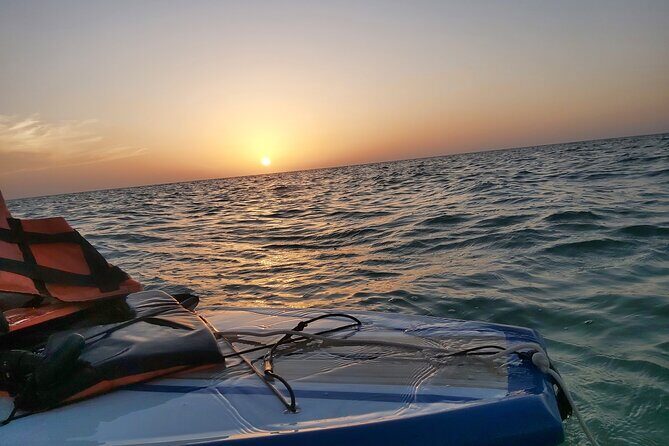 Paddle Board Classes in Holbox with Pick up - Authenticity and Expertise