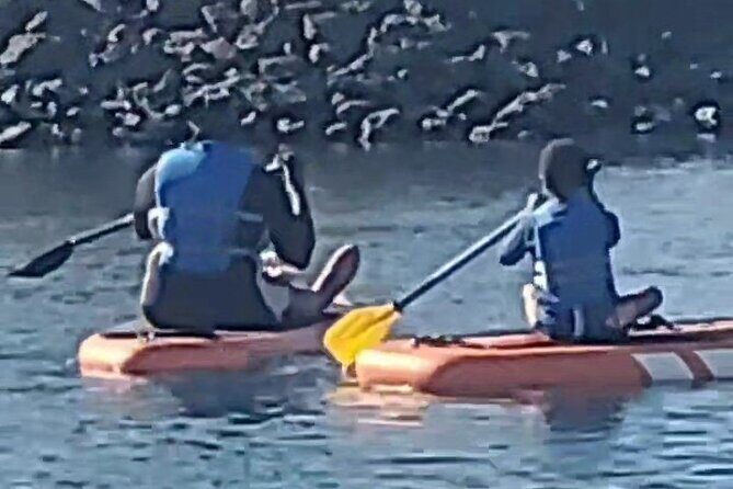 Paddle Board Picnics Lessons Rentals and Outdoor Adventures - Final Thoughts