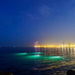 Paddle surf at night with light & drink -photos &videos - Who Will Love This Tour?