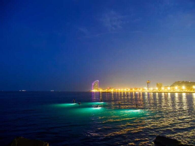 Paddle surf at night with light & drink -photos &videos - Who Will Love This Tour?
