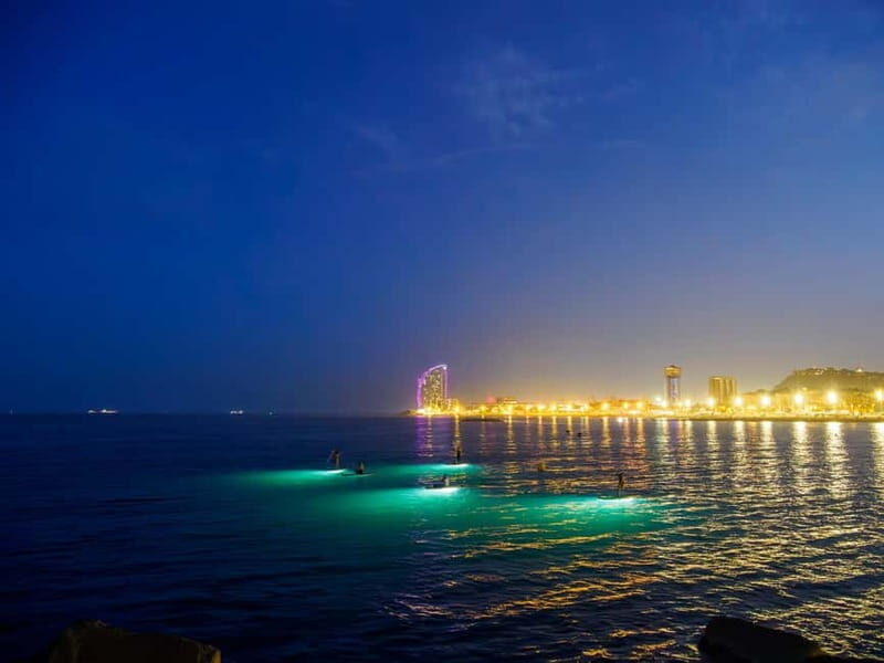 Paddle surf at night with light & drink -photos &videos - Who Will Love This Tour?