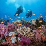 PADI Discover Scuba Diving - Who Is This Tour Best For?