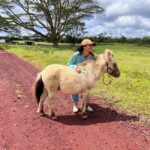 Pahoa: Ranch Tour with Animal Feedings and Interactions - Who Will Love This Tour?