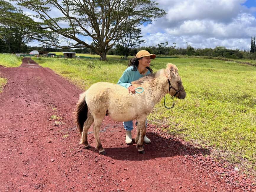 Pahoa: Ranch Tour with Animal Feedings and Interactions - Who Will Love This Tour?