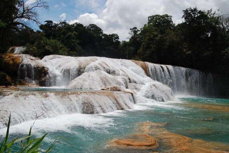 Palenque Archaeological Site with Agua Azul and Misol-Ha - How Well Does the Tour Deliver on Value?