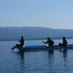 Palenque: Catazajá Lagoon Wildlife Adventure - Why This Tour Offers Great Value