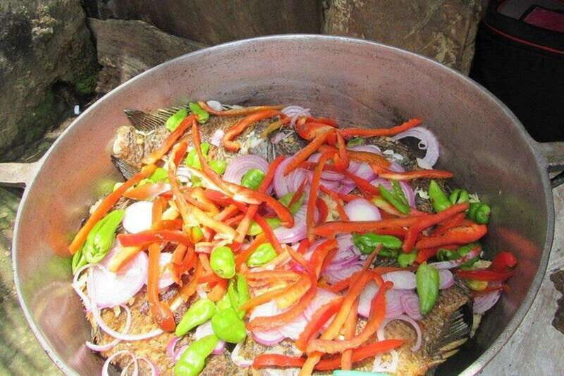 Palenque: Eco-Tour on Horseback with Lunch - What’s Included and Practical Details