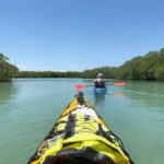 Palenque to San Cristobal. 5-day Jungle Tour + Rafting+Kayak - What Comes Included and What to Know