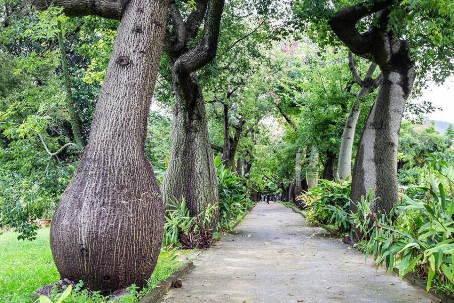 Palermo: Botanical Garden Entry Ticket and Palermo Audio App - Additional Practical Insights  