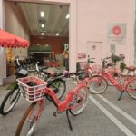 Palm Beach: 3 hr Guided Electric Bike Tour - Who Will Love This Tour?