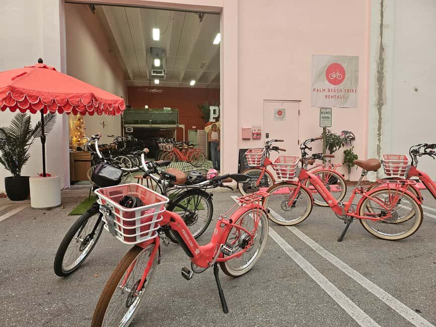 Palm Beach: 3 hr Guided Electric Bike Tour - Who Will Love This Tour?