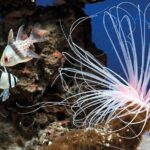 Palma Acquarium with Transfer - Authentic Insights from Visitors