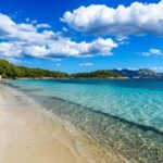 Palma: Alcúdia, Port de Pollença & Cap de Formentor Day Trip - Who Should Book This Tour?