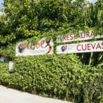 Palma: Caves of Genova Ticket & Digital Audio Guide - Practical Details