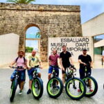 Palma de Mallorca: Exclusive Fat Tire e-Bike Rental - What Makes This E-Bike Tour Stand Out?