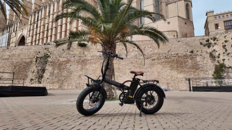 Palma: Exclusive City Highlights E-Bike Tour - Final Thoughts