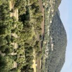 Palma: Orange Farm, Olive Mill, & Winery Tour with Tastings - Visiting the Orange Grove and Learning About Local Agriculture