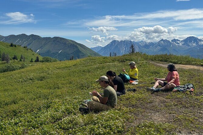 Palmer's Hidden Waterfalls: Full Day Hike - The Practicalities: What You Need to Know