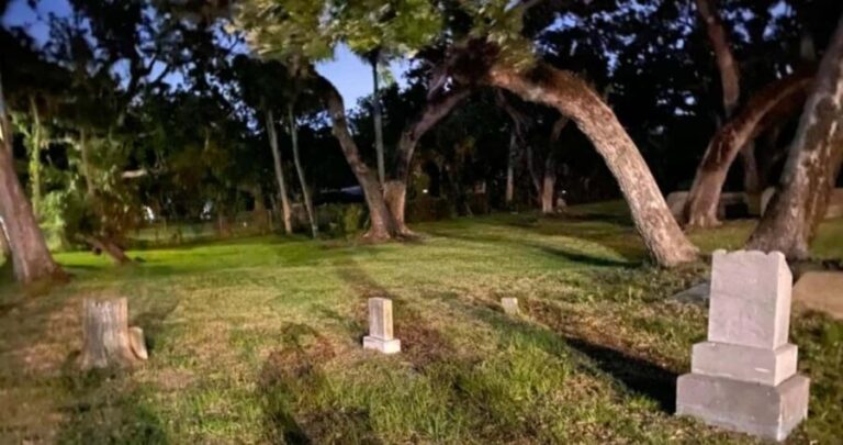 Palmetto: Ghost & History Tour by Silent Slayer Ghost Tours - What to Expect from the Experience