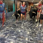 Pamplona: Walking Tour and Photo Session with Bulls - The Highlights: Must-See Sights and Unique Stops