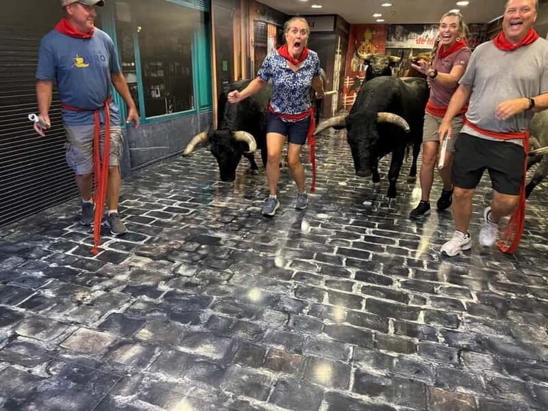 Pamplona: Walking Tour and Photo Session with Bulls - The Highlights: Must-See Sights and Unique Stops