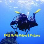 Panama City Beach: Beginners Scuba Diving Tour - The Value of the Experience