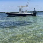 Panama City Beach Florida, Dolphin, Shell Island and Eco Tours - A Detailed Look at the Experience