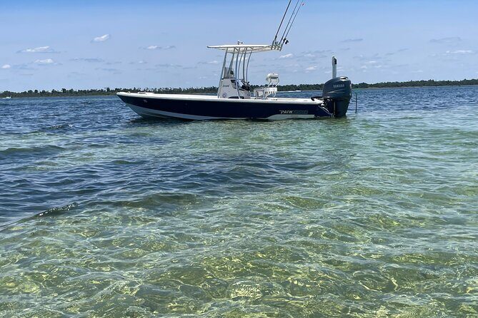 Panama City Beach Florida, Dolphin, Shell Island and Eco Tours - A Detailed Look at the Experience