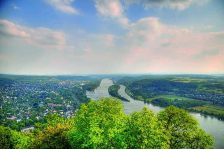 Panoramic tour between Bonn and Königswinter - MS Moby Dick - A Closer Look at the Experience